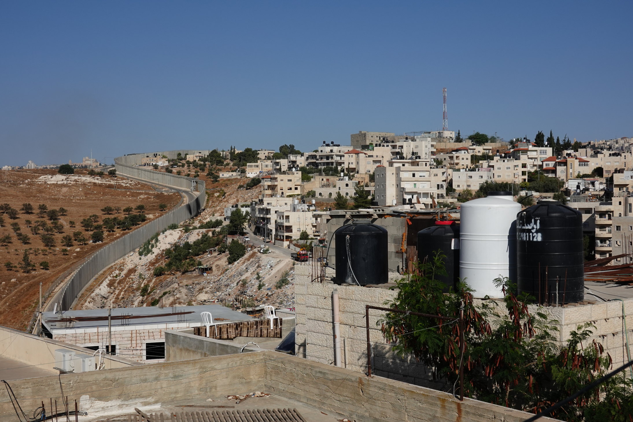 Paysage urbain palestinien avec oliviers